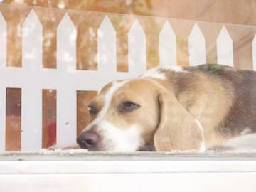 1186208_514978165246561_119648372_n