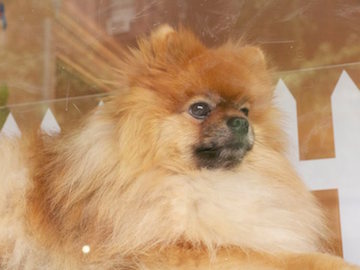 1209158_514978095246568_1144465459_n