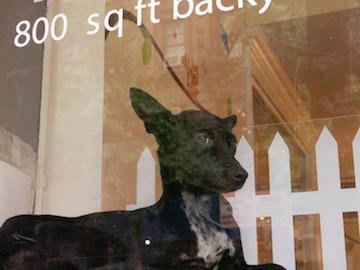 1233344_514978195246558_1289273916_n