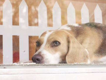 1234316_514978071913237_1095369046_n