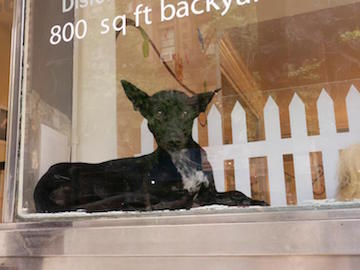 1235323_514978171913227_1643874887_n