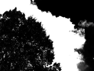 999213_514978661913178_15046305_n